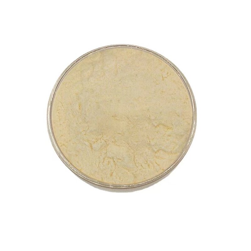 Tea Seed Powder Manufacturer - 98% Vitamin, Food Grade & Drum Packaging