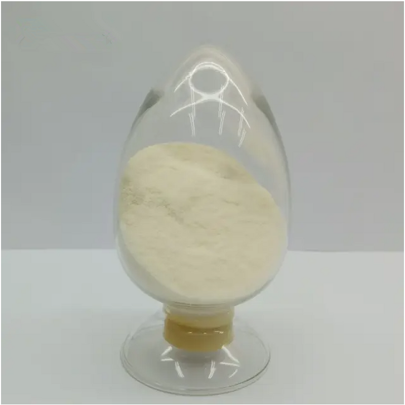 ARA Powder Manufacturer - Arachidonic Acid 10% 20% Food Grade Capsules