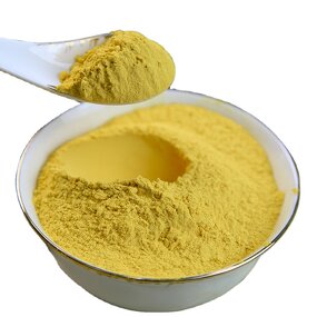 Bee Pollen Powder Manufacturer - Food Grade Natural Herbal Extract for Food & Beverages