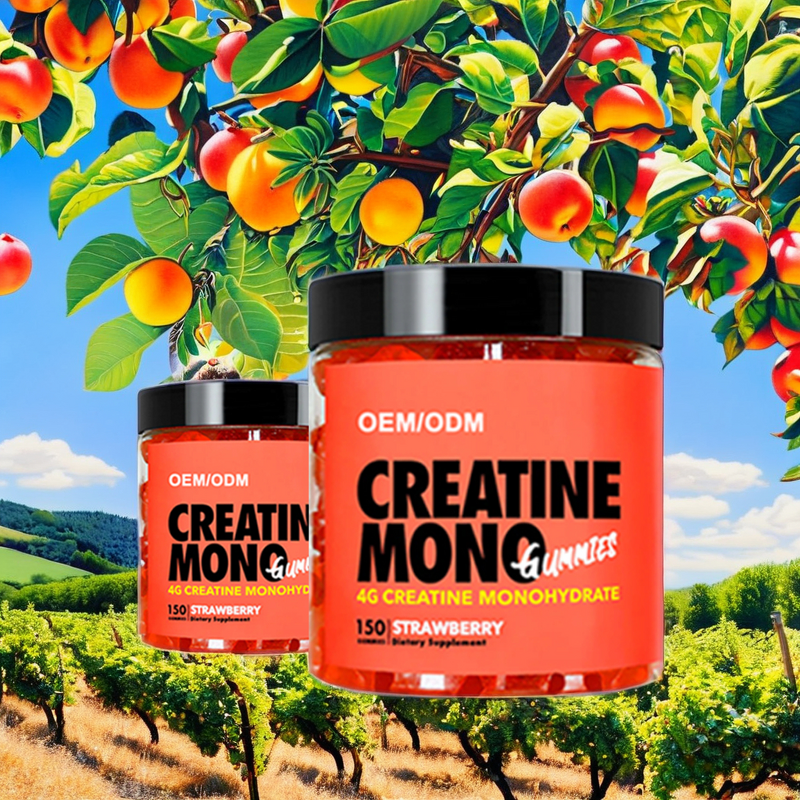 Pre-Workout Supplements Manufacturer - Vegan Creatine Gummies & Weight Gain Powder