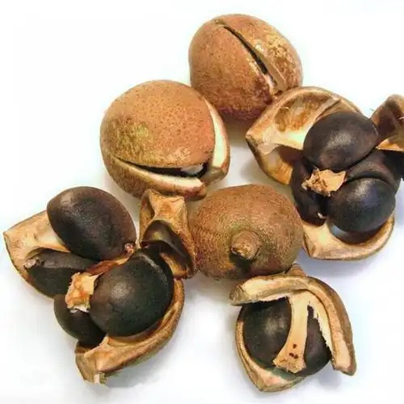 Tea Seed Powder Manufacturer - 98% Vitamin, Food Grade & Drum Packaging