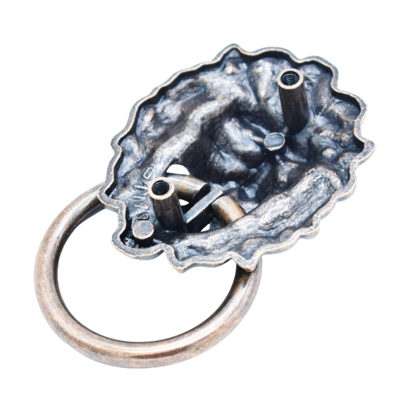 Door Knocker Manufacturer - OEM Antique Brass Lion Head Alloy Knocker