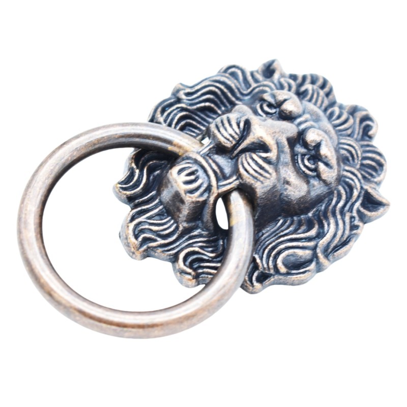 Door Knocker Manufacturer - OEM Antique Brass Lion Head Alloy Knocker