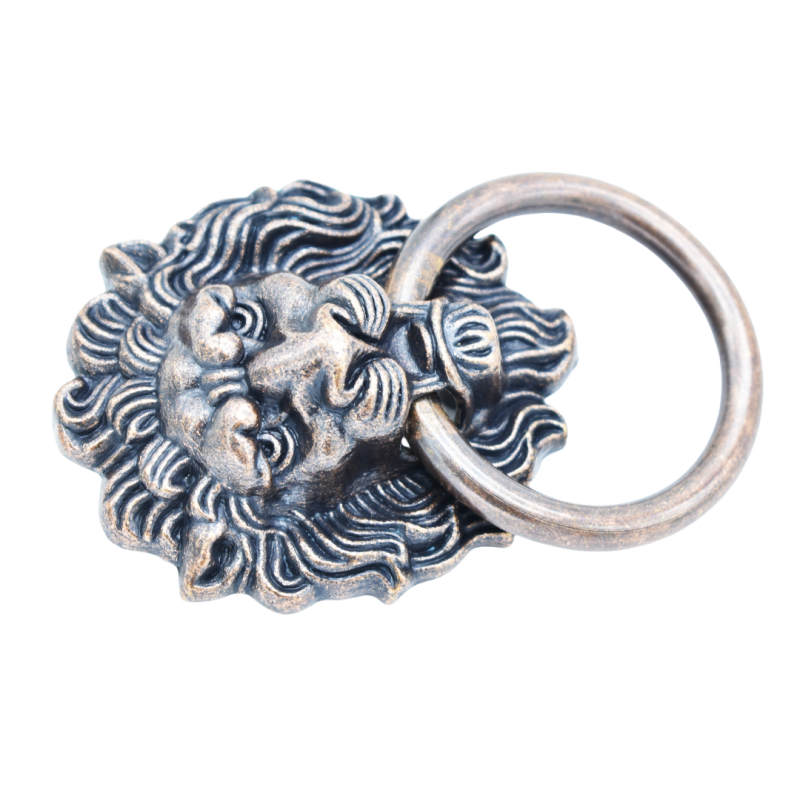 Door Knocker Manufacturer - OEM Antique Brass Lion Head Alloy Knocker