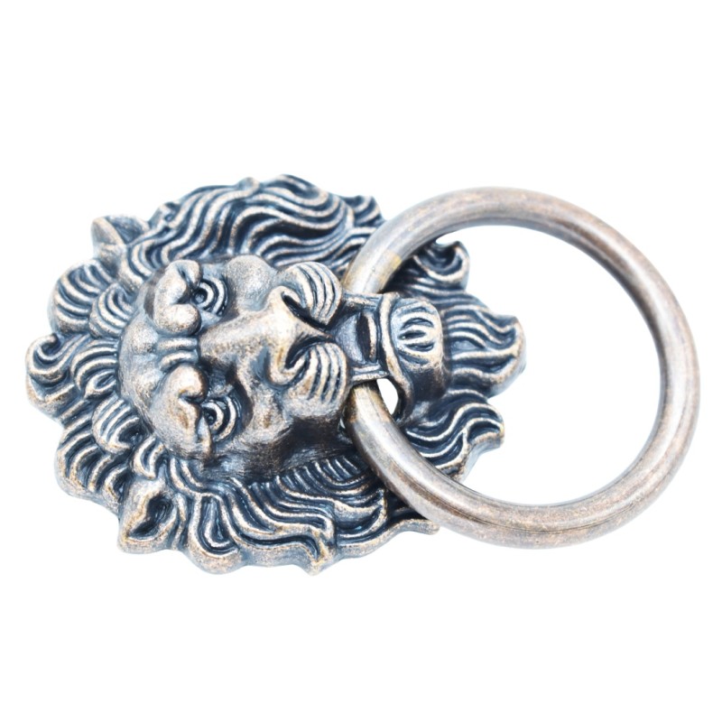 Door Knocker Manufacturer - OEM Antique Brass Lion Head Alloy Knocker