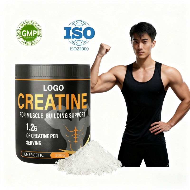 Creatine Monohydrate Powder Manufacturer - Micronized for Muscle Building & Sport Supplements