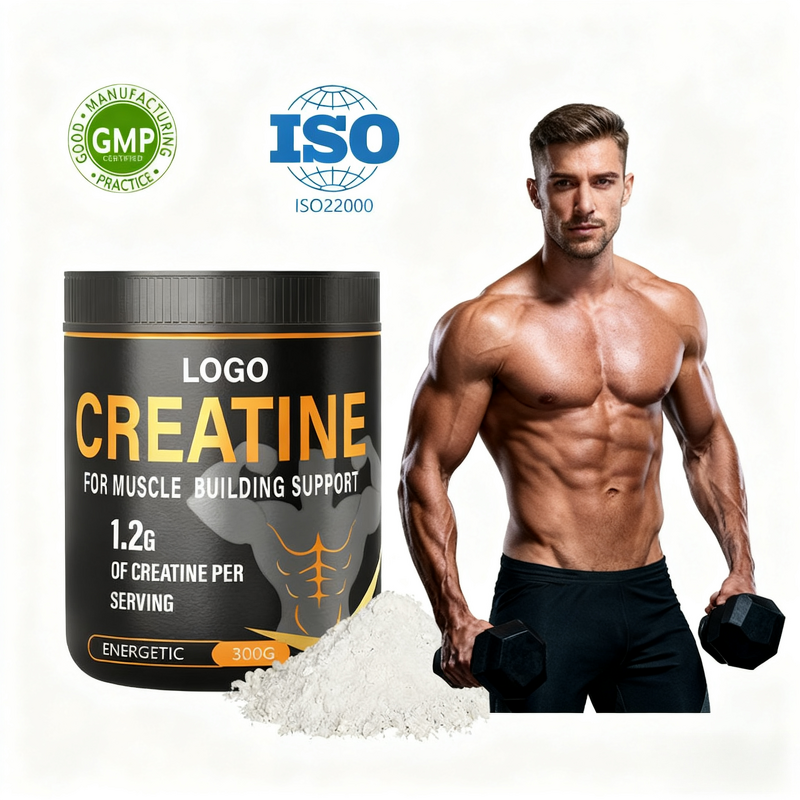 Creatine Monohydrate Powder Manufacturer - Micronized for Muscle Building & Sport Supplements