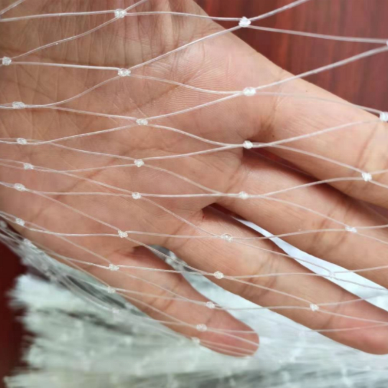 Green PP Plastic Trellis Net Manufacturer - 15x15cm Roll for Climbing Plants