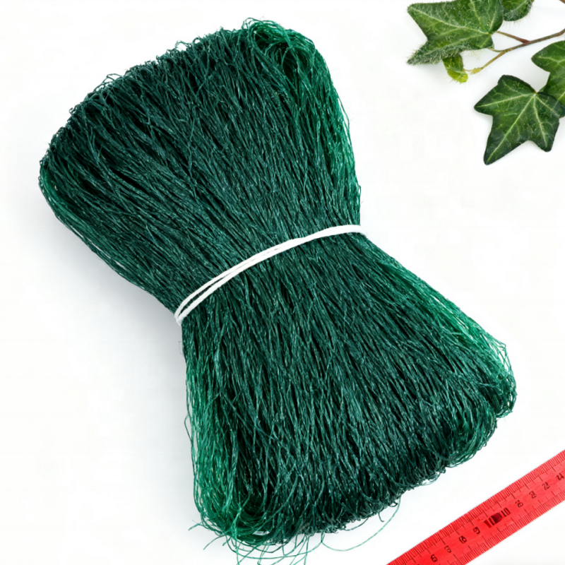 Green PP Plastic Trellis Net Manufacturer - 15x15cm Roll for Climbing Plants