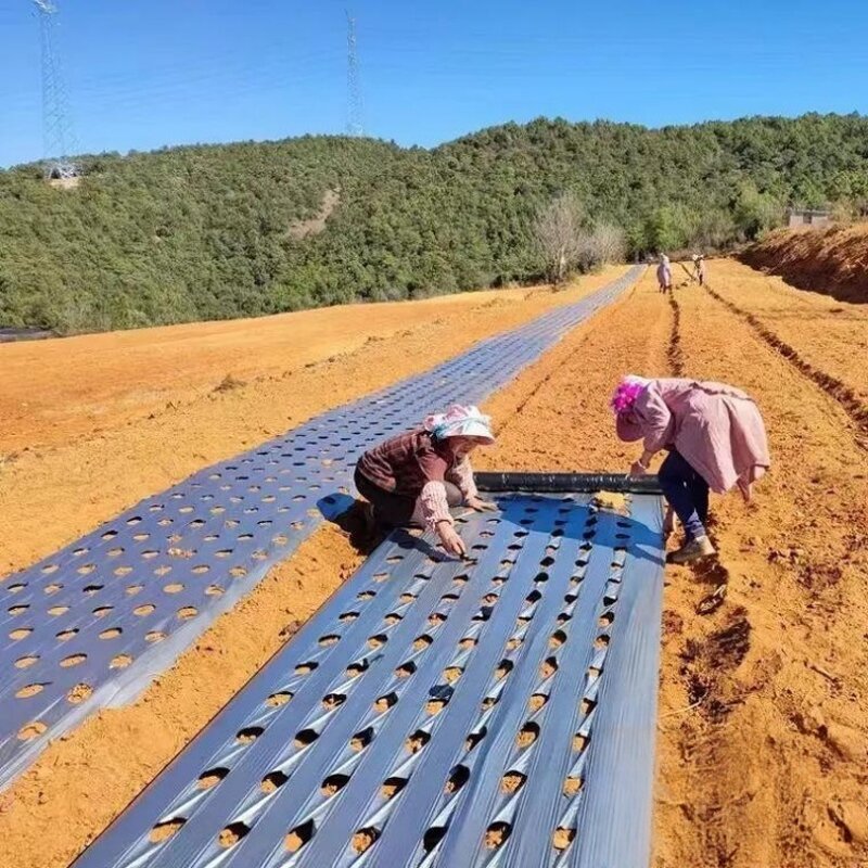 Agricultural Plastic Film Manufacturer - HDPE/PE Material Blow Molding Process