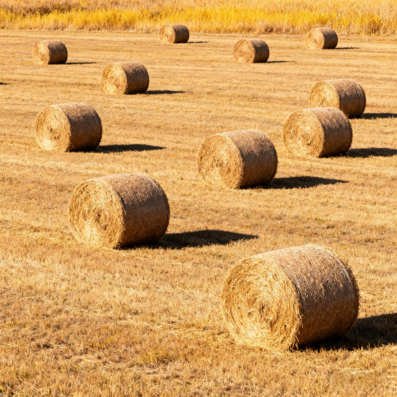 Silage Net Wrap Manufacturer - HDPE Weatherproof Tear-Resistant for Secure Storage