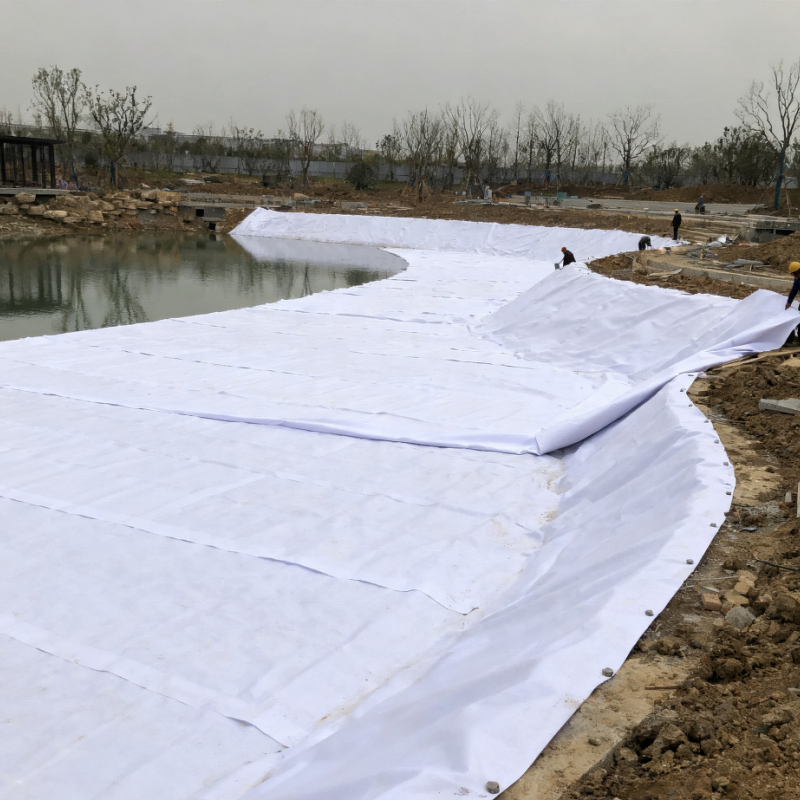HDPE Geomembrane Manufacturer - Custom Size White for Wastewater Treatment