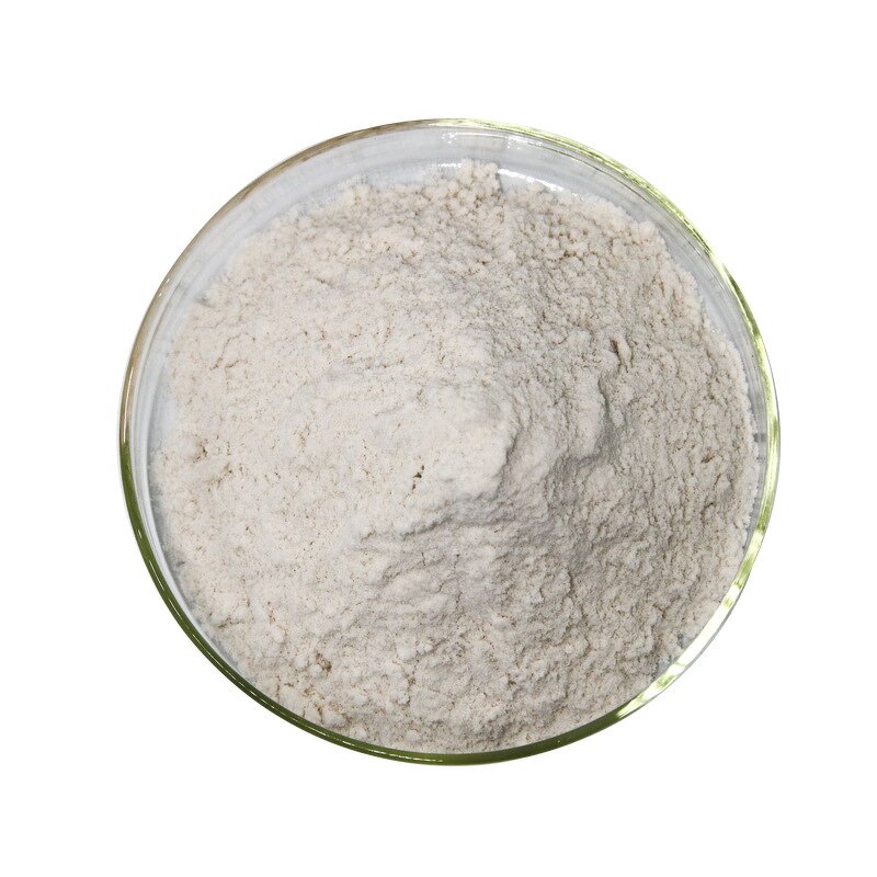 L-Glutamate Powder Manufacturer - Food-Grade Bulk Raw Material CAS 56-86-0