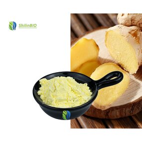 Ginger Extract Powder Manufacturer - 10% Gingerols, Food Grade & Water Soluble