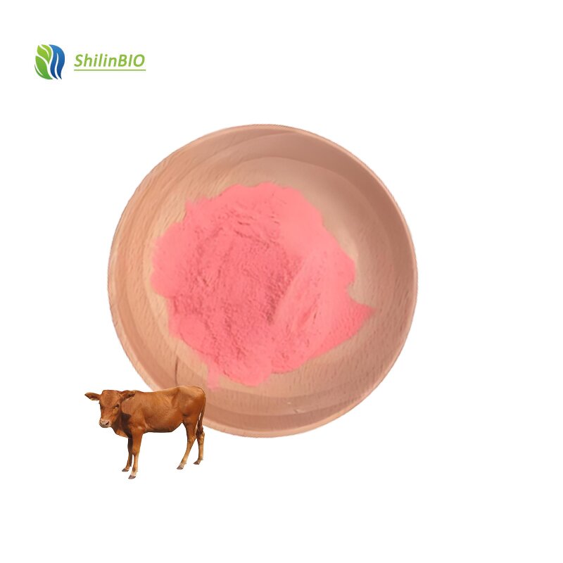 Bovine Lactoferrin Powder Manufacturer - CAS 112163-33-4, 95% Purity