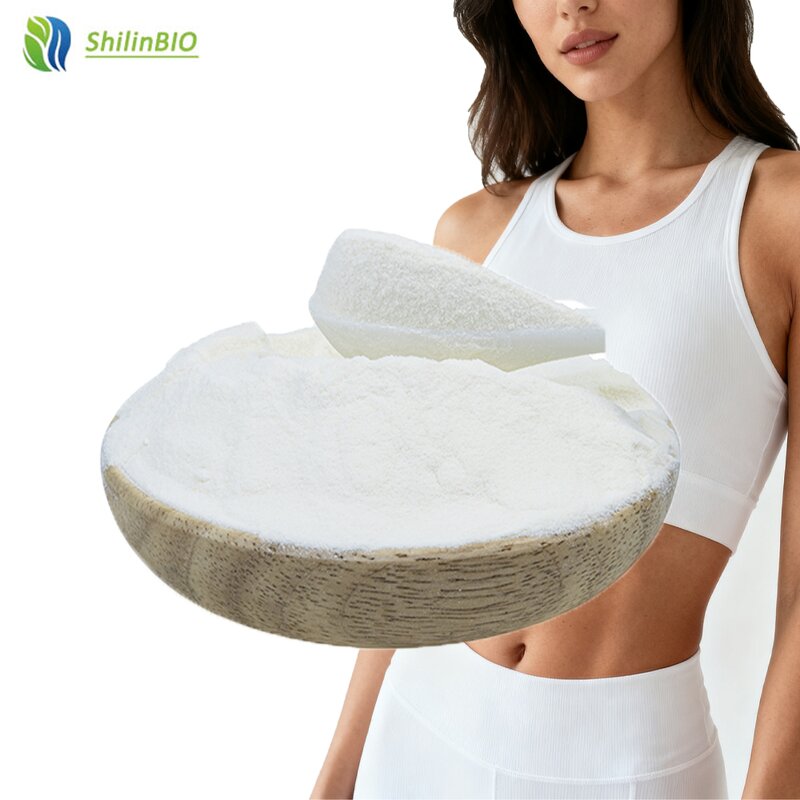 Alpha-Ketoglutaric Acid Powder Manufacturer - AKG Powder CAS 328-50-7