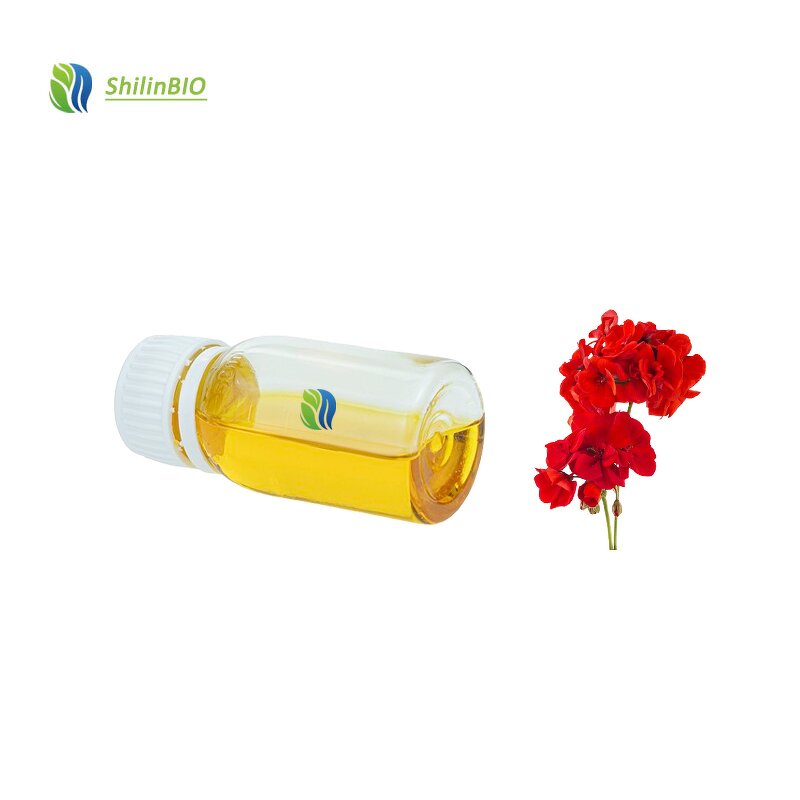 Geranium Essential Oil Manufacturer - 100% Pure Herbal Extract in Bottle, Drum, Can