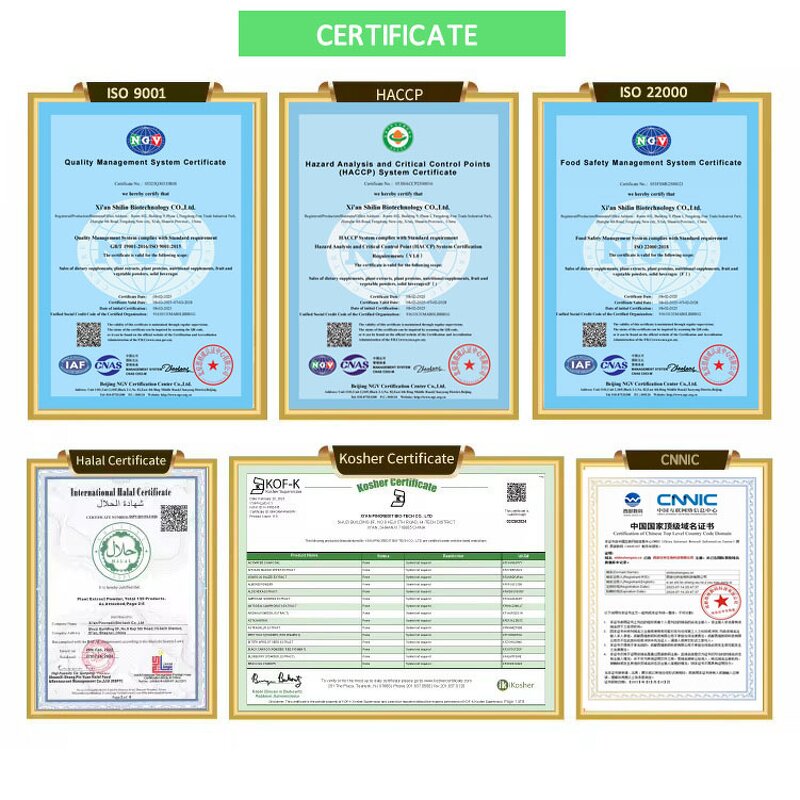 Panax Ginseng Root Extract Powder Manufacturer - Food Grade, Water Soluble, 10%-80% Ginsenosides
