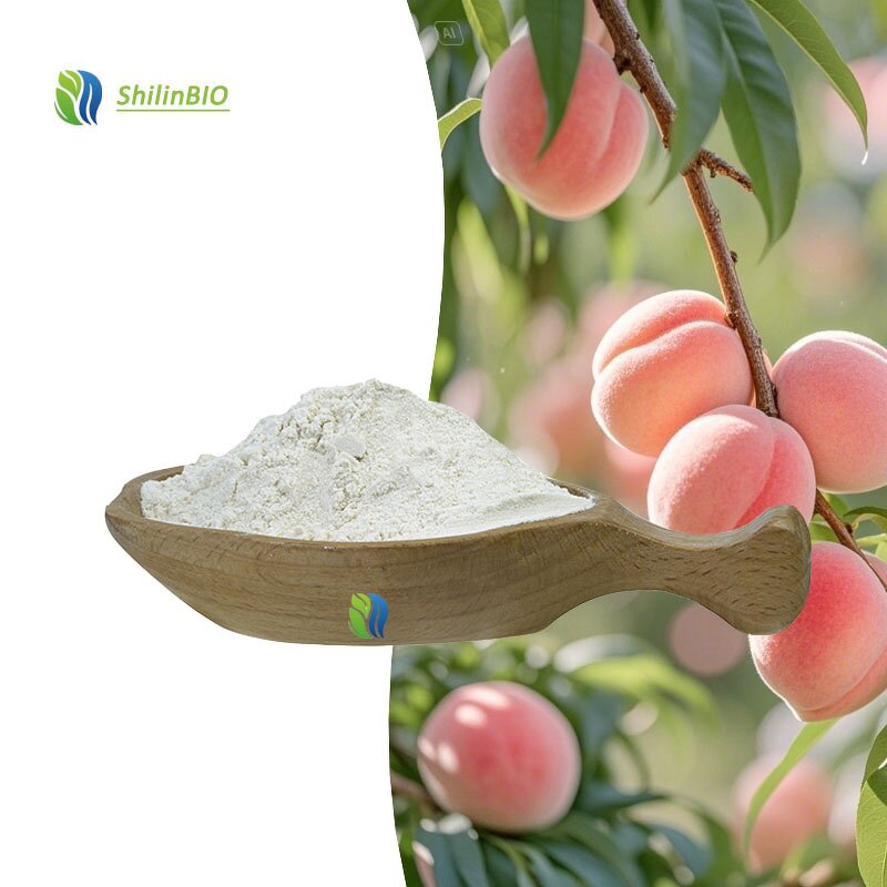 Peach Powder Manufacturer - Food Grade Plant Extract & 80 Mesh Juice Powder