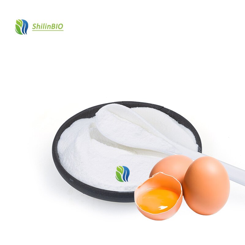 Egg Albumen Powder Manufacturer - Food Grade 99% Vacuum Packed