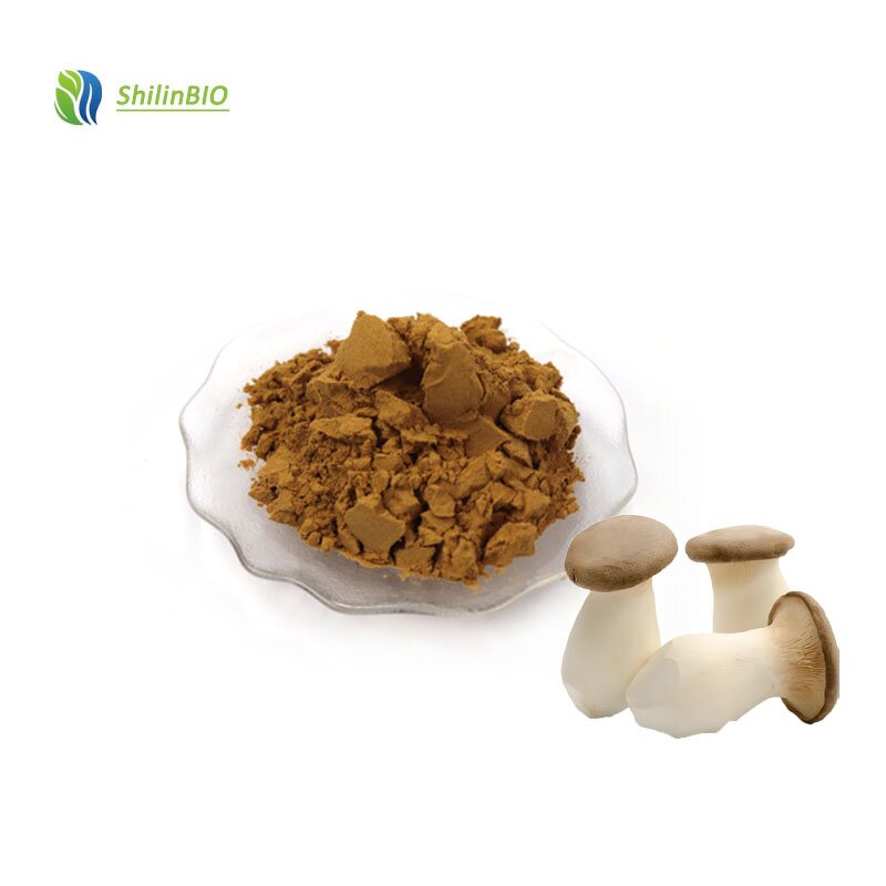 Pleurotus Eryngii Extract Manufacturer - 10% to 50% Polysaccharides