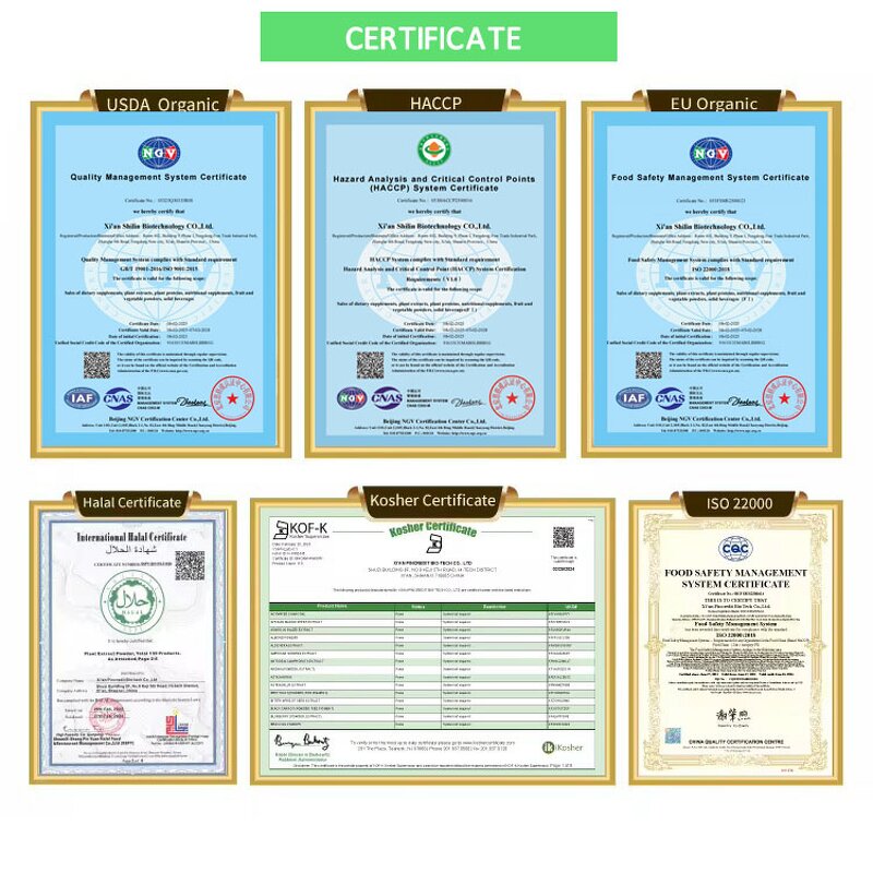 Turkesterone Powder Manufacturer - Ajuga Turkestanica Extract 2% 10%