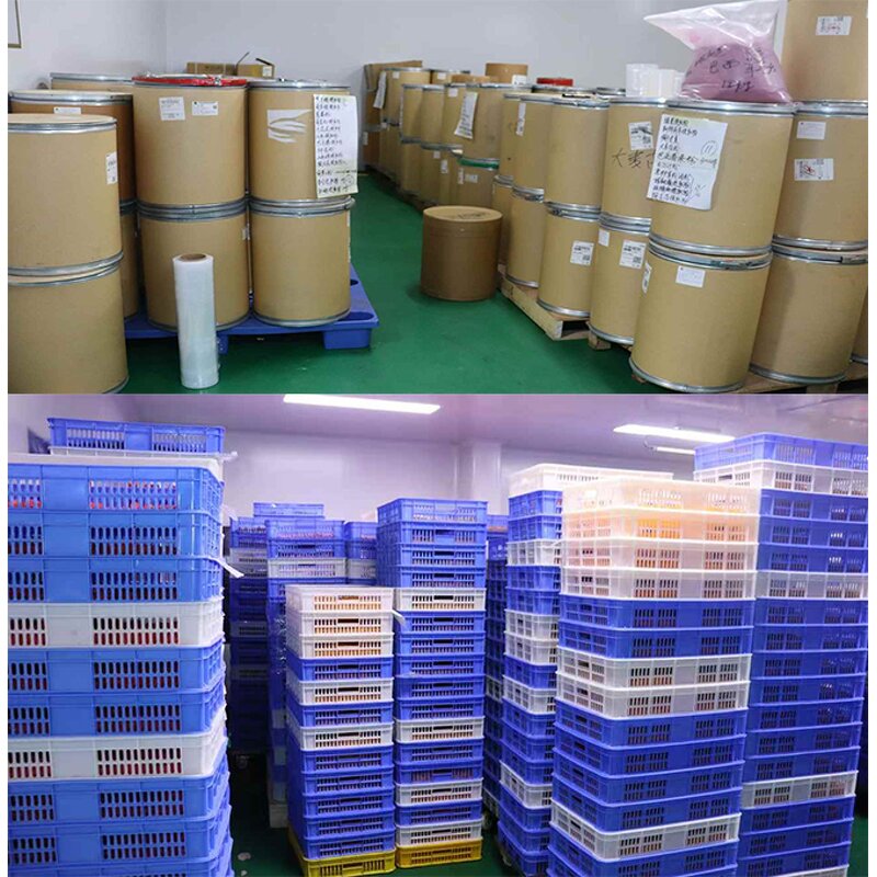 Turkesterone Capsules Manufacturer - 1000mg Ajuga Extract & Tongkat Ali for Muscle Growth