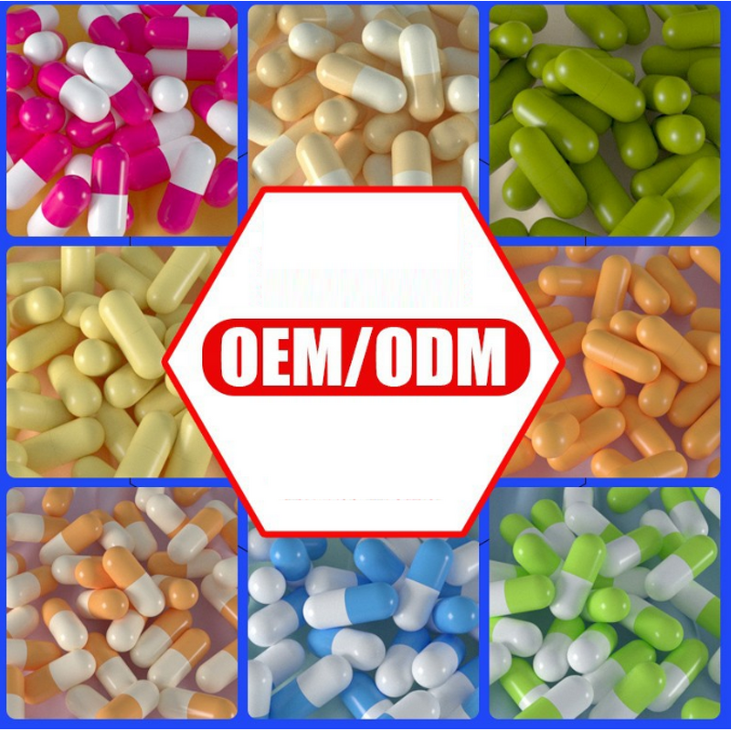 Probiotics Capsules Manufacturer - 60 Billion CFU with 10-Strain Prebiotics for Digestive & Gut Health