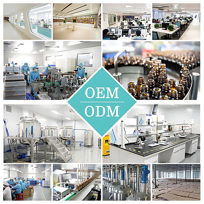 Himalayan Shilajit Resin Manufacturer - Pure Organic in Honey Sachets