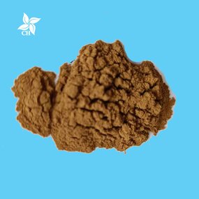 Mango Seed Powder Manufacturer - Food Grade Extract for Wholesale