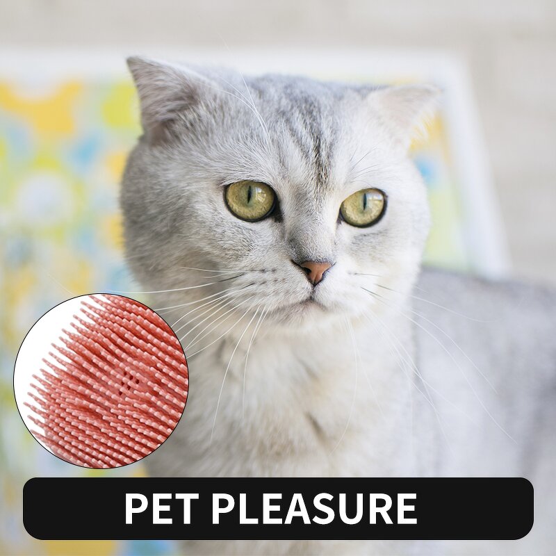 Pet Dog Bath Brush Manufacturer - Soft Silicone Shampoo & Grooming Brush