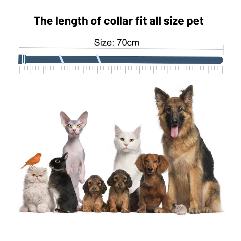 Pet Flea and Tick Collar Manufacturer - Custom Anti Flea Collar for Dogs and Cats