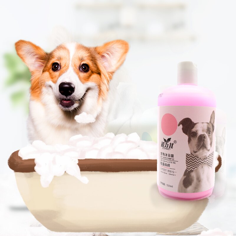 Pet Shampoo Manufacturer - Long Lasting Fragrance for Dog Itchy Skin & Private Label