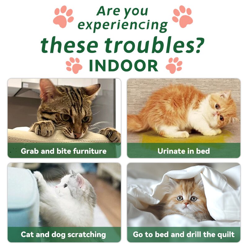 Cat Repellent Manufacturer - Natural Peppermint Oil Outdoor Deterrent