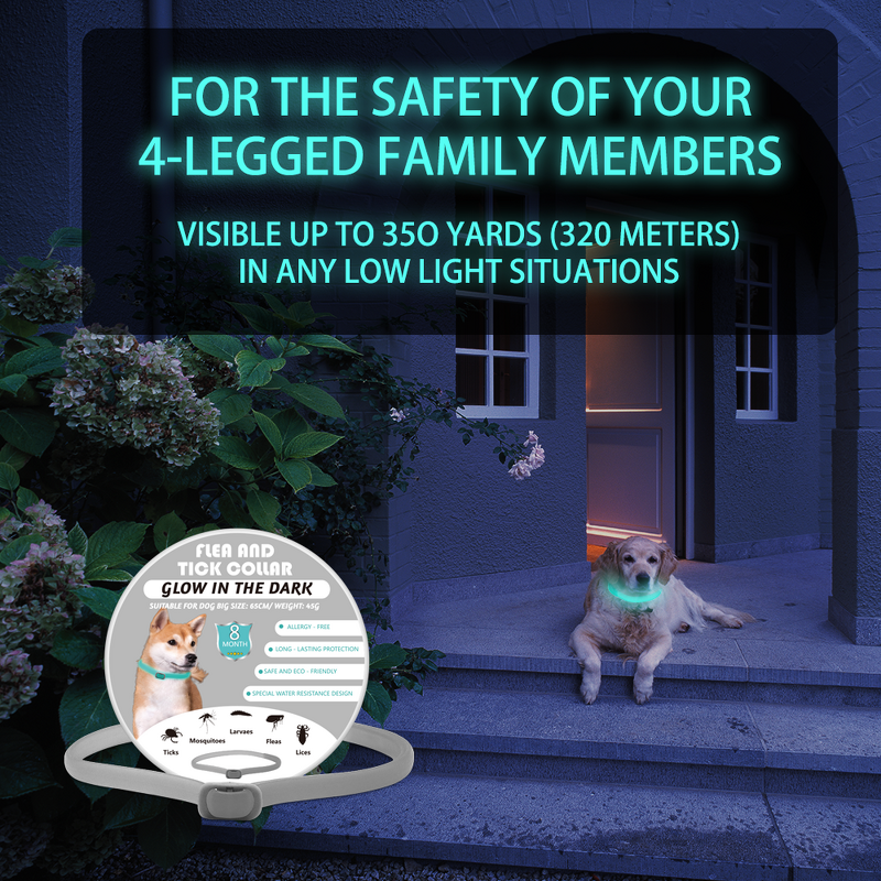 Silicone Dog Collar Manufacturer - Custom Multicolor Waterproof Luminous