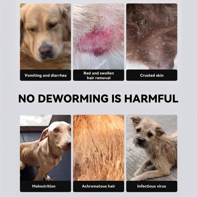 Flea & Tick Treatment for Cats and Ferrets - 3 Pipettes External Insect Repellent Drops for Pet Flea and Tick Prevention

Optimized: Flea & Tick Treatment Manufacturer - 3 Pipettes for Cats and Ferrets