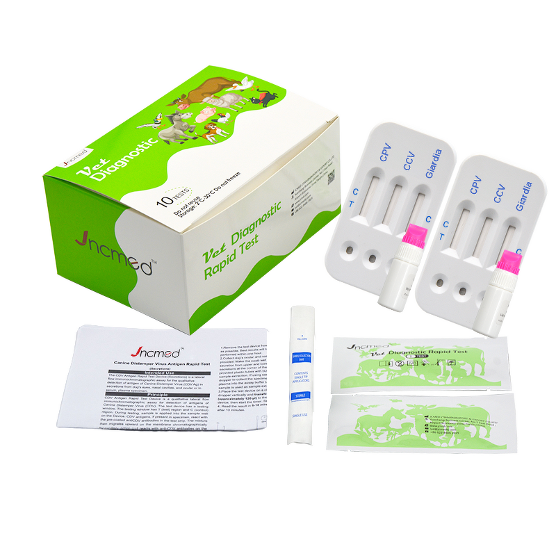 JCMED CPV CCV Giardia Ag Rapid Test Kit Manufacturer for Animals