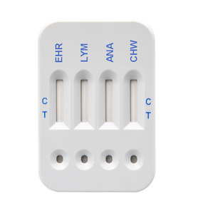 Pet Care Combo Rapid Test Kit Manufacturer - Panleukopenia Herpes Calicivirus Ag Ab