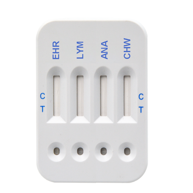 Pet Care Combo Rapid Test Kit Manufacturer - Panleukopenia Herpes Calicivirus Ag Ab