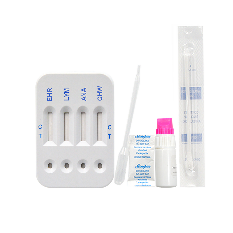 Pet Care Combo Rapid Test Kit Manufacturer - Panleukopenia Herpes Calicivirus Ag Ab