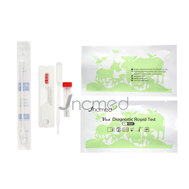 Canine CCV Ag Test Kit - For Diarrhea, Vomiting, Loss of Appetite in Dogs