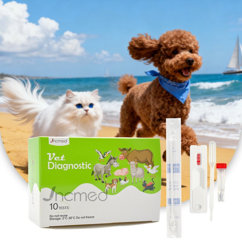 Canine CCV Ag Test Kit - For Diarrhea, Vomiting, Loss of Appetite in Dogs