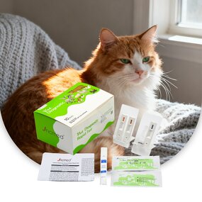 Feline Immunodeficiency Virus Test Kits Manufacturer - F-GIA Ag Rapid Diagnostic Test