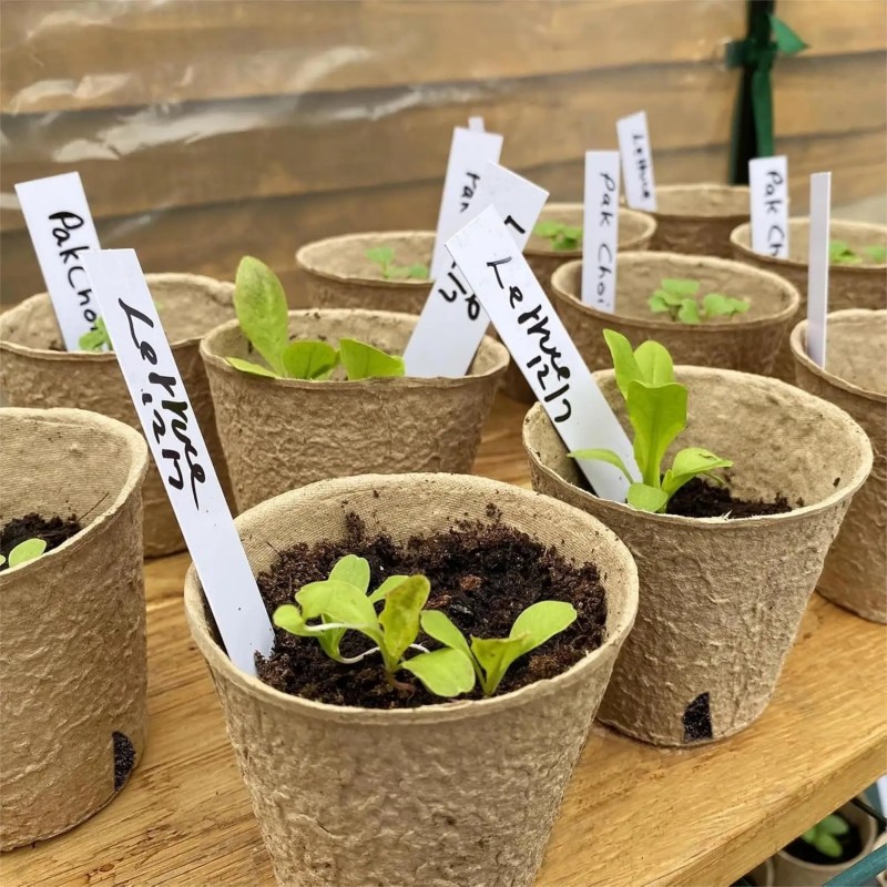 Peat Pots Supplier - Biodegradable Seed Starting Trays