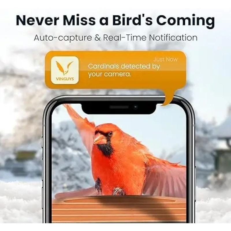 Bird Feeder with Camera Factory - Solar Powered AI Identification