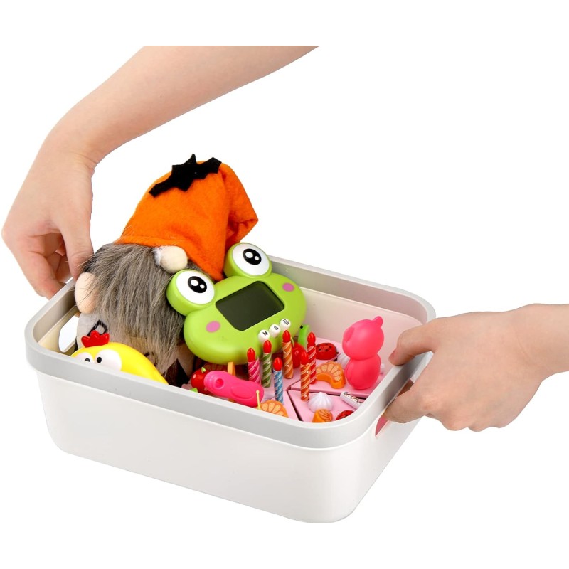 Storage Bin Factory - 6 Pack Plastic Organizer Bins with Handle