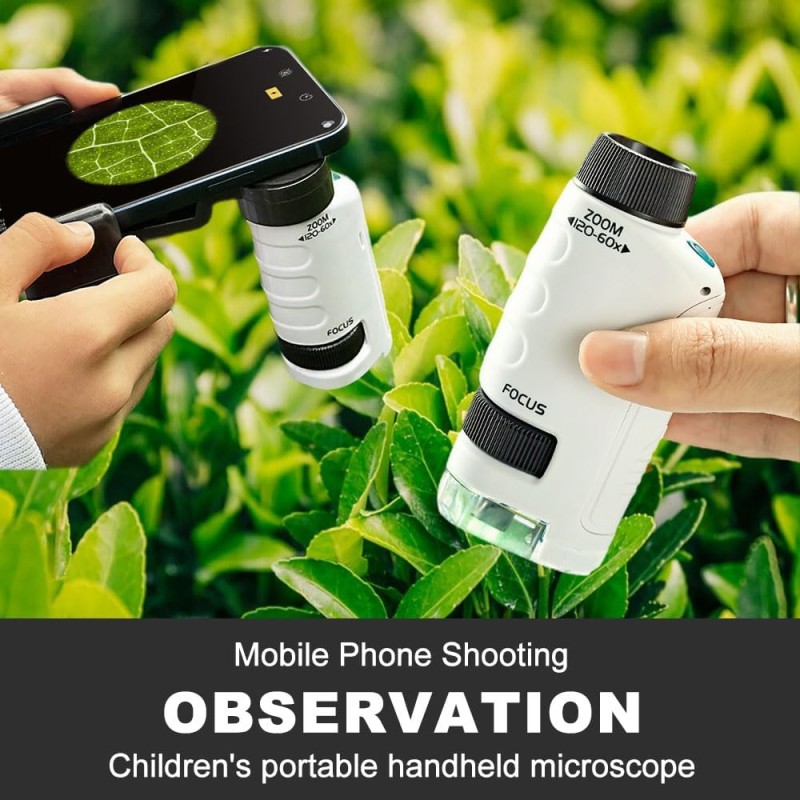 Mini Microscope Supplier - Pocket Microscope for Kids Education