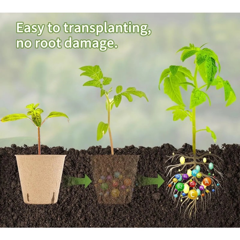 Peat Pots Supplier - Biodegradable Seed Starting Trays