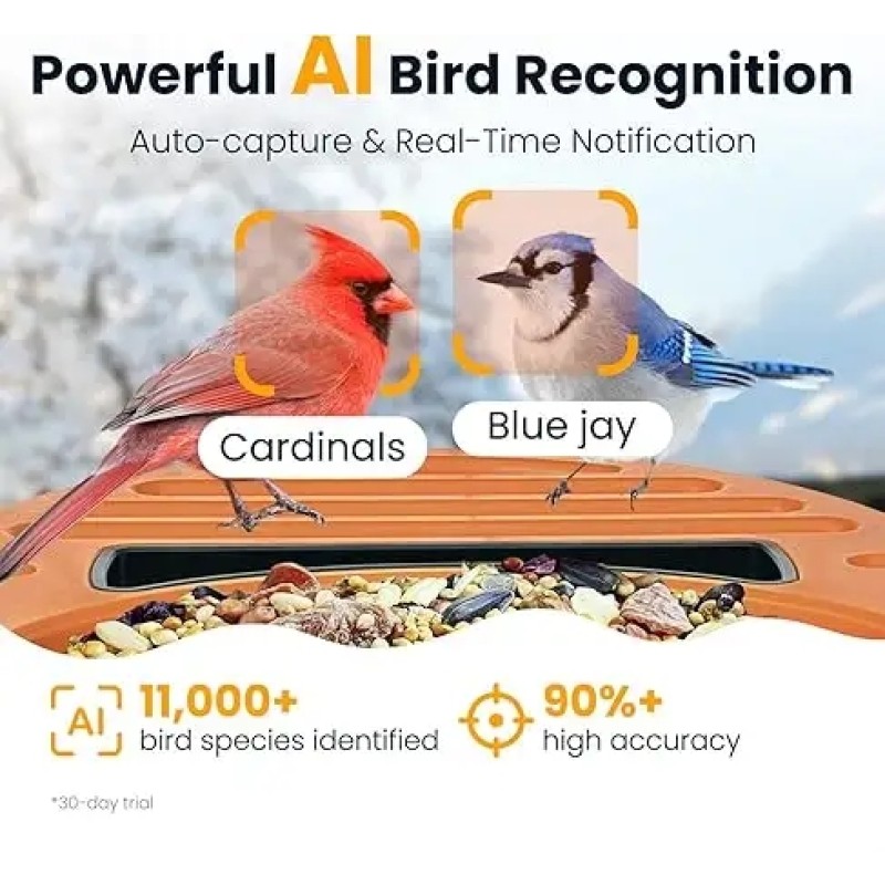 Bird Feeder with Camera Factory - Solar Powered AI Identification