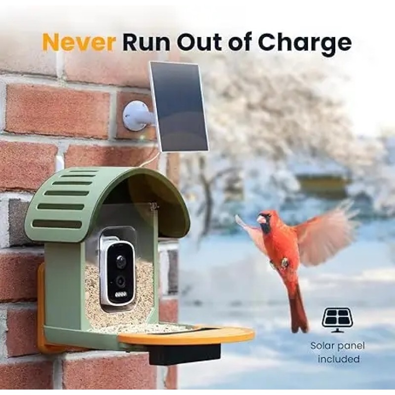 Bird Feeder with Camera Factory - Solar Powered AI Identification